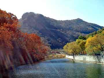 领峰贵金属黄金走势